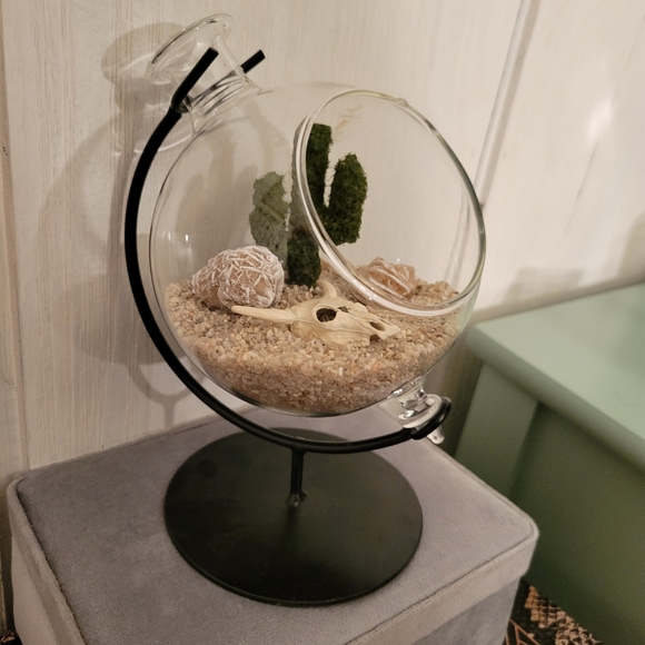 Mini Desert Rose terrarium - Picture 3 of 4